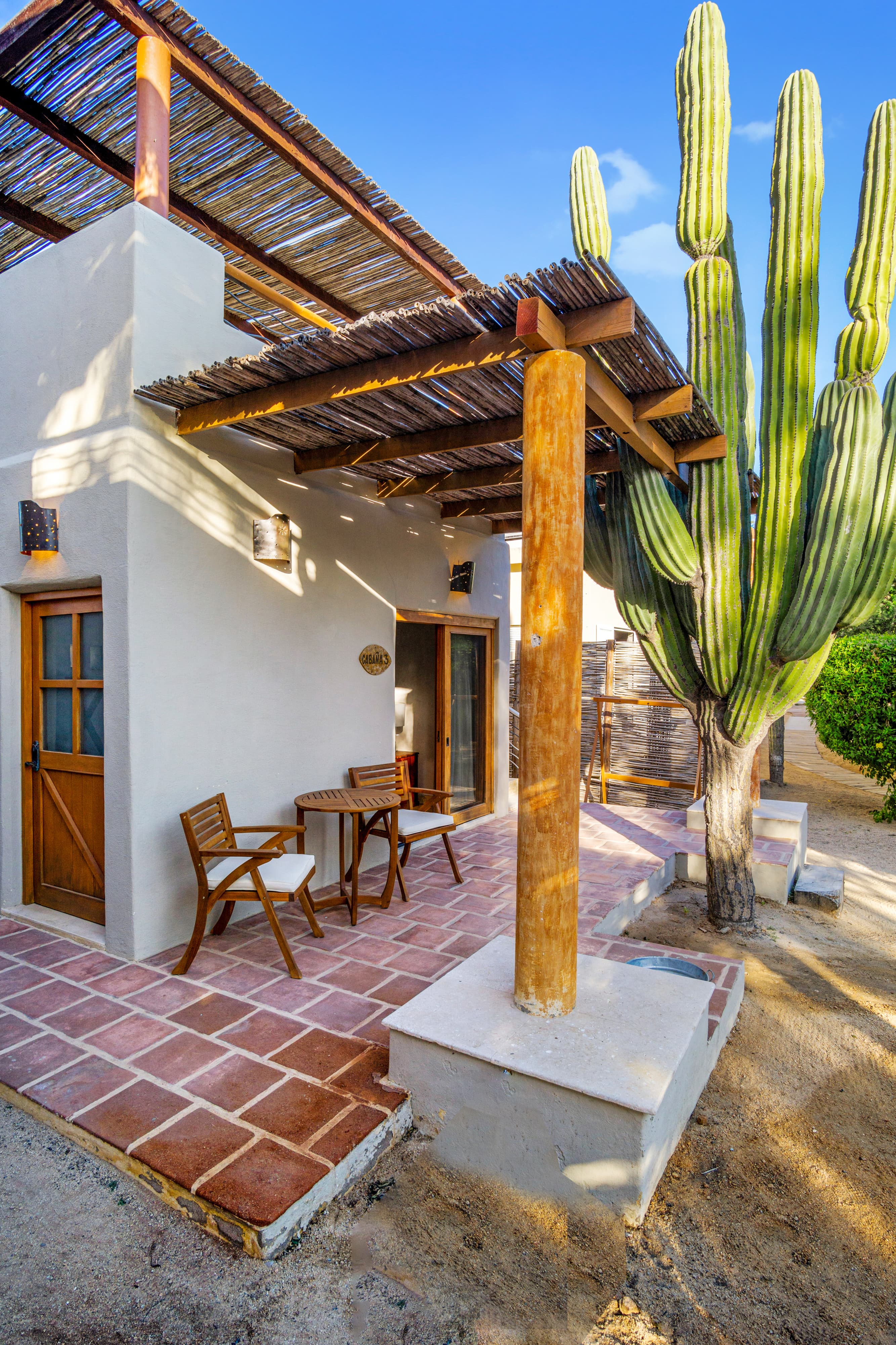 A cozy outdoor seating area with wooden chairs and a table next to a tall cactus and a sunlit stucco building.