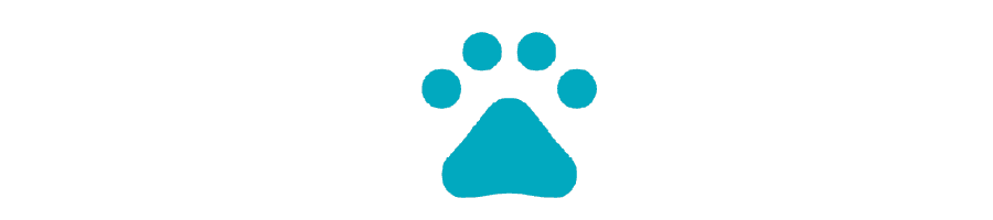 Teal paw print icon.