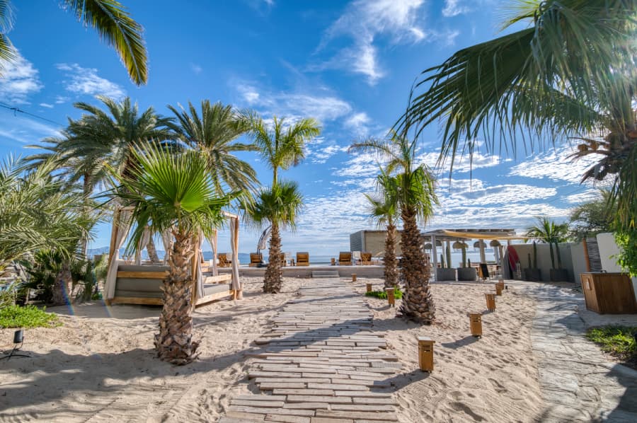 A sandy pathway lined with palm trees leads to a beachside relaxation area under a bright blue sky.