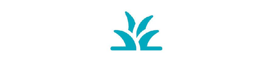 Icon of stylized grass blades in turquoise.