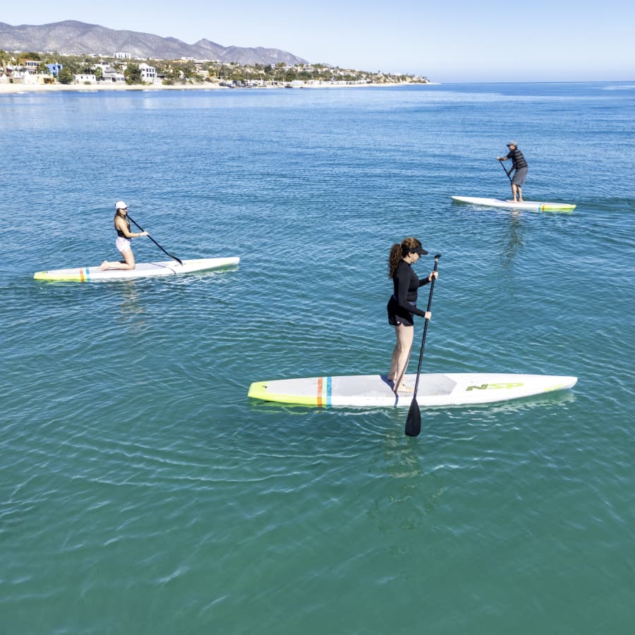 Three people paddleboarding on a calm ocean with a shoreline in the background.