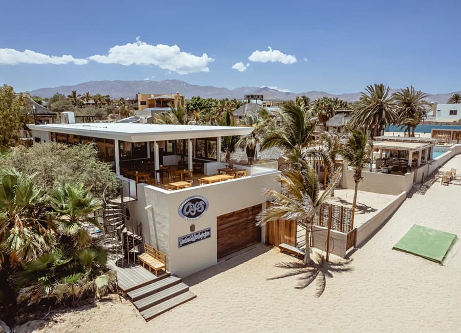 A modern beachside restaurant surrounded by palm trees and sandy areas.