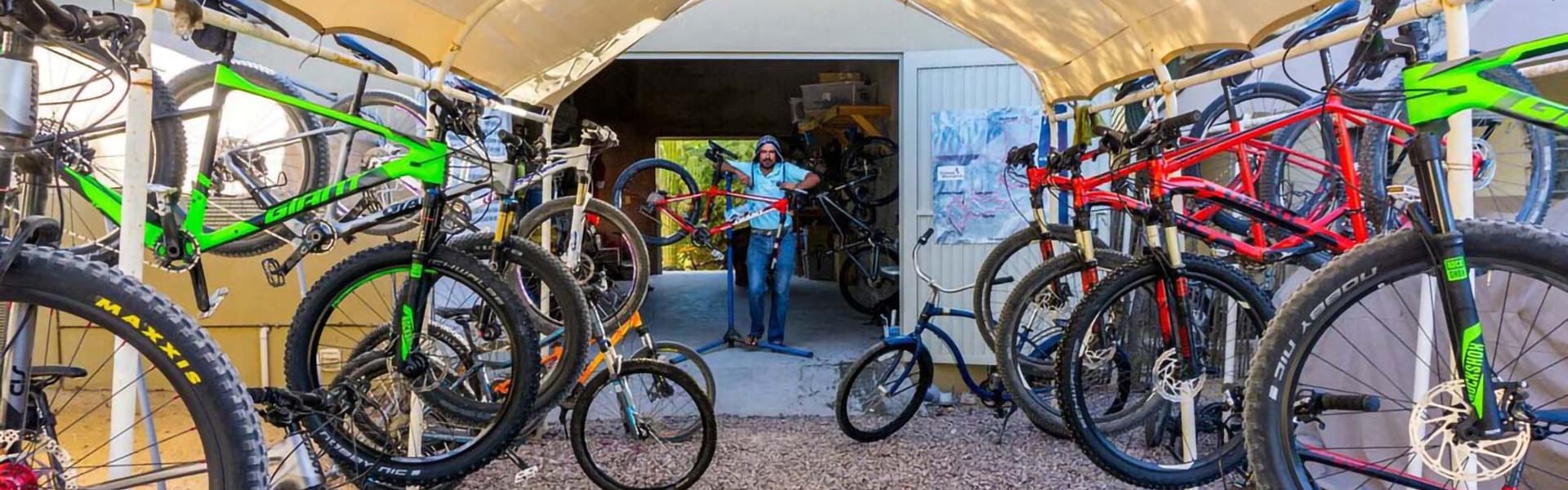 A person stands among various mountain bikes in a workshop.