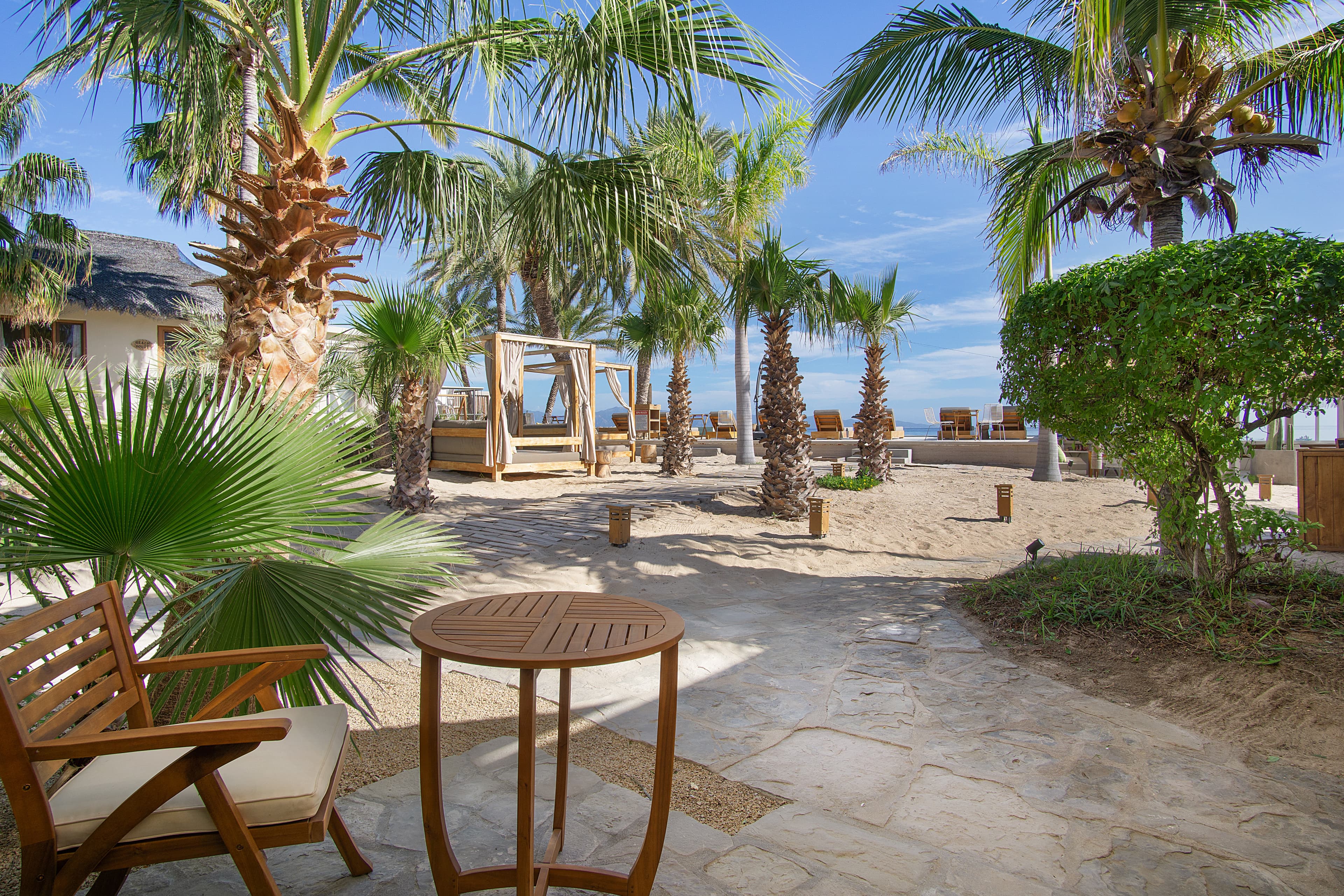 A tropical beach setting with palm trees, sandy paths, and wooden furniture.